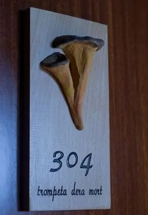 Dört Kişilik Oda