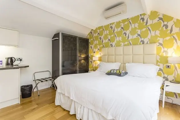 Deluxe Tek Büyük Yataklı Oda