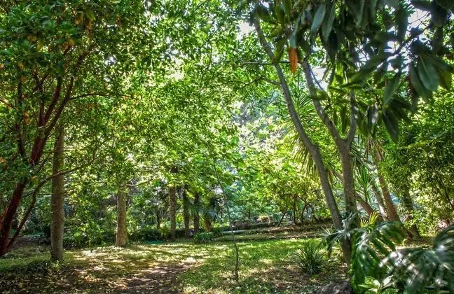 Standard Stüdyo (2 pax)