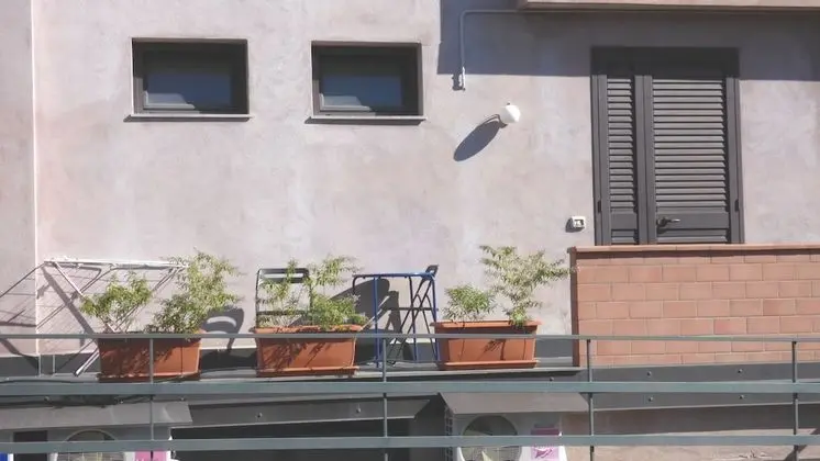 Oda, 1 Yatak Odası, Teras