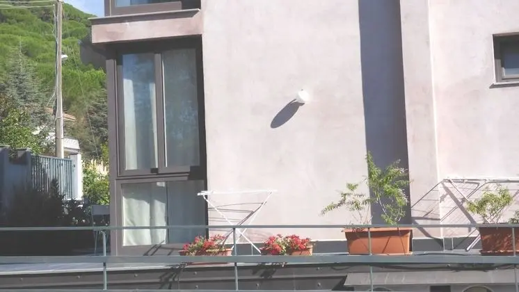 Oda, 1 Yatak Odası, Teras