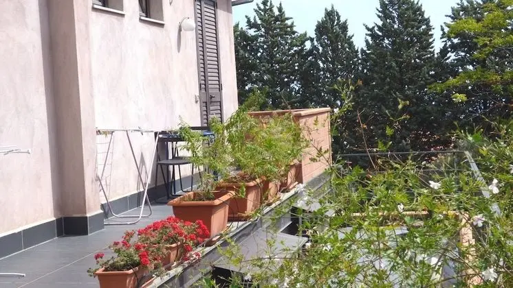 Oda, 1 Yatak Odası, Teras