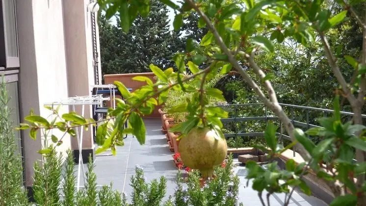 Oda, 1 Yatak Odası, Teras