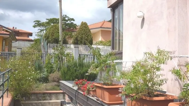 Oda, 1 Yatak Odası, Teras