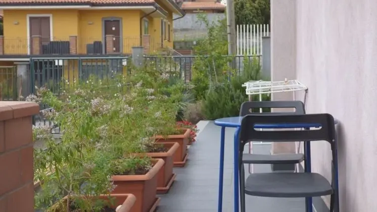 Oda, 1 Yatak Odası, Teras