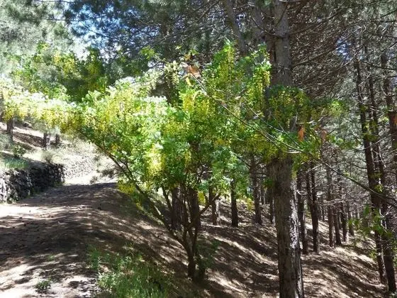 Apart Daire, 1 Yatak Odası, Balkon