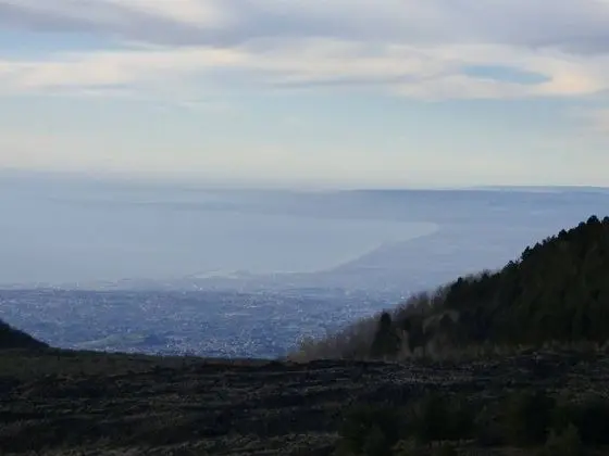 Apart Daire, 1 Yatak Odası, Balkon