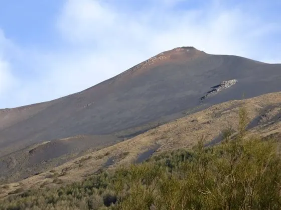 Apart Daire, 1 Yatak Odası, Balkon