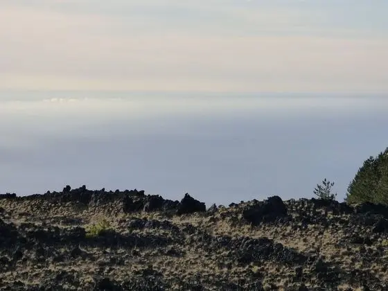 Apart Daire, 1 Yatak Odası, Balkon