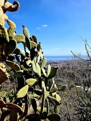 Villa, 4 Yatak Odası, Sigara İçilebilir, Şömine