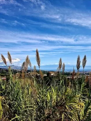 Villa, 4 Yatak Odası, Sigara İçilebilir, Şömine