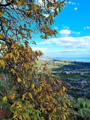 Villa, 4 Yatak Odası, Sigara İçilebilir, Şömine