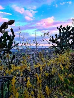 Villa, 4 Yatak Odası, Sigara İçilebilir, Şömine