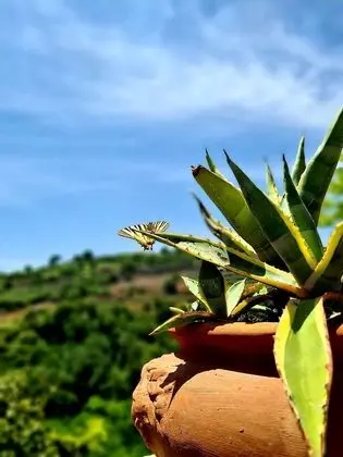 Villa, 4 Yatak Odası, Sigara İçilebilir, Şömine