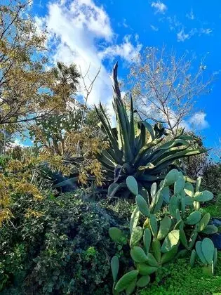 Villa, 4 Yatak Odası, Sigara İçilebilir, Şömine