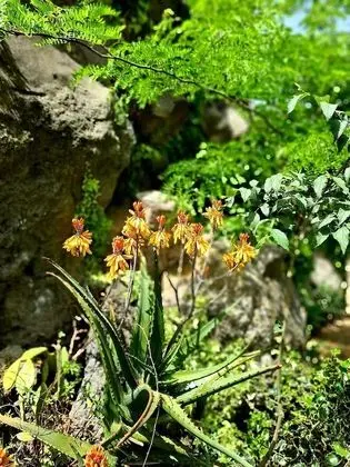 Villa, 4 Yatak Odası, Sigara İçilebilir, Şömine