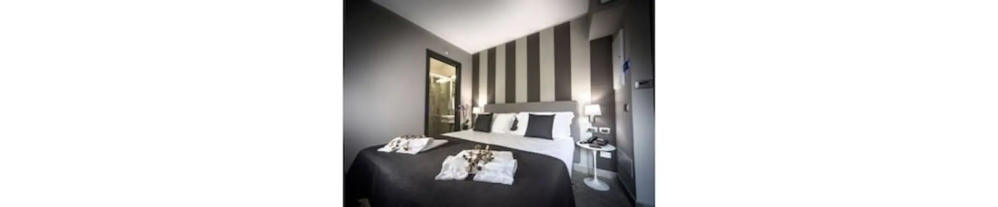 Standard Tek Büyük veya İki Ayrı Yataklı Oda