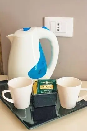 Superior Tek Büyük Yataklı Oda, Sıcak Su Küveti