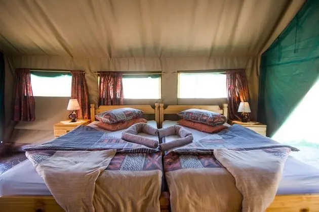 Luxury Çadır