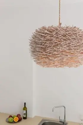 Ev