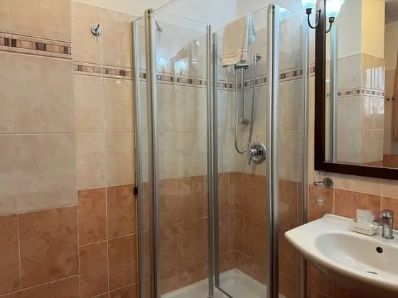 Business Büyük Yataklı Tek Kişilik Oda