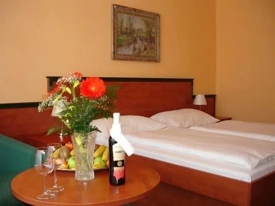 Standard Tek Büyük veya İki Ayrı Yataklı Oda (Full Spa Treatment Package)