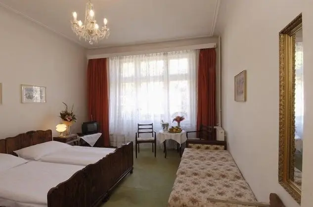 Standard Tek Büyük Yataklı Oda (With Extra Bed)