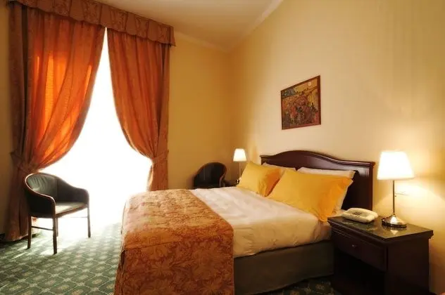 Superior Tek Büyük Yataklı Oda