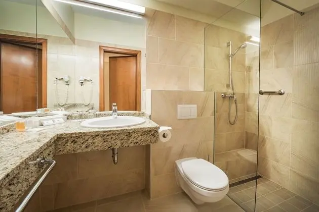 Deluxe Plus Room, Park View