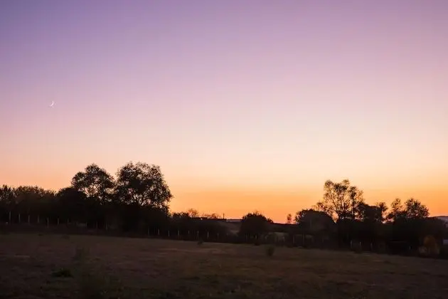 Standard İki Ayrı Yataklı Oda, Birden Çok Yatak