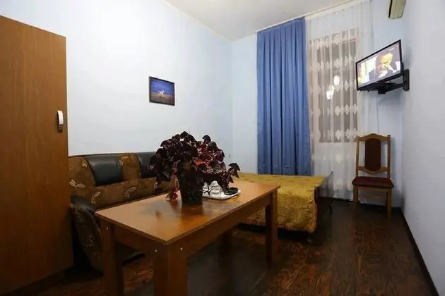 Basic Büyük Yataklı Tek Kişilik Oda, 1 Çift Kişilik Yatak, Özel Banyo