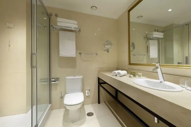 Deluxe Tek Büyük Yataklı Oda, Teras