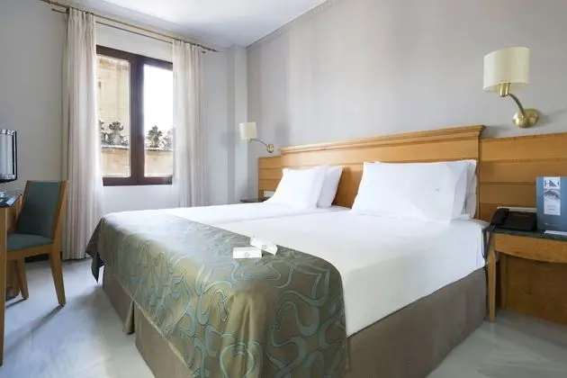 Tek Büyük Yataklı Oda (extra beds)