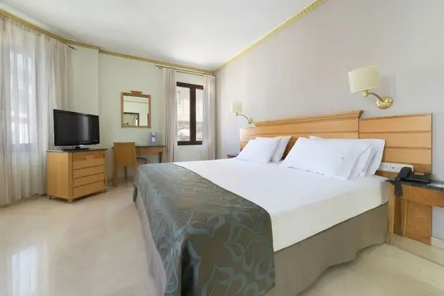 Tek Büyük Yataklı Oda (extra beds)