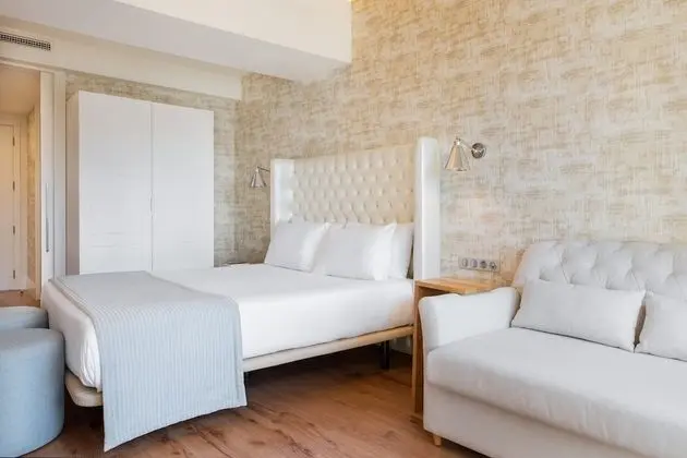 Superior Tek Büyük Yataklı Oda (Sofa Bed)