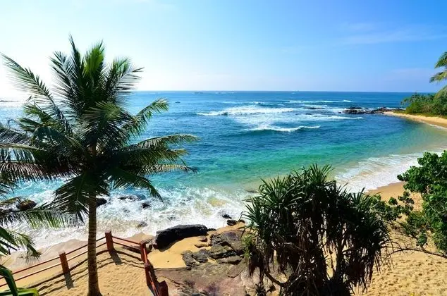 Deluxe Tek Büyük veya İki Ayrı Yataklı Oda, 1 Yatak Odası, Sigara İçilmez, Okyanusa Sıfır