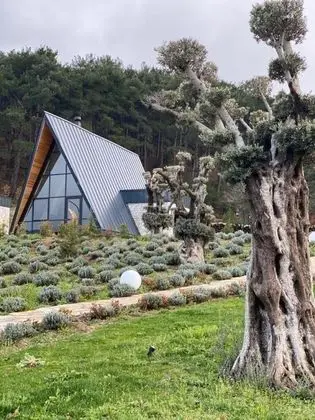 Dağ Evi, Havuz Manzaralı