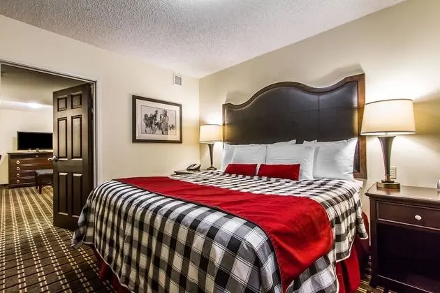 Süit, 1 En Büyük (King) Boy Yatak ve Çekyat, Sigara İçilmez