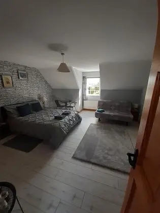 Family Tek Büyük Yataklı Oda, Banyolu/Duşlu