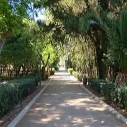Apart Daire, Birden Çok Yatak