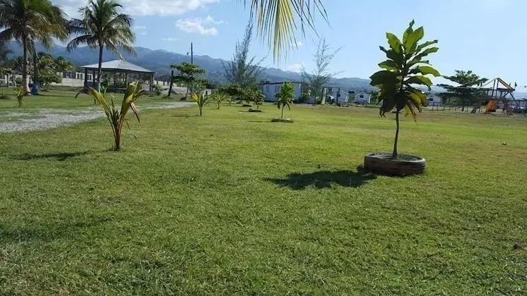 Basic Kır Evi, 1 Çift Kişilik Yatak, Sigara İçilmez