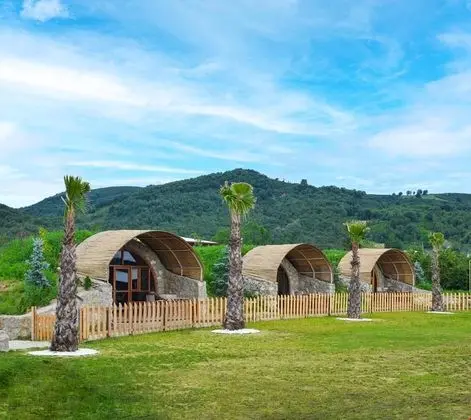 Premium Hobbit House