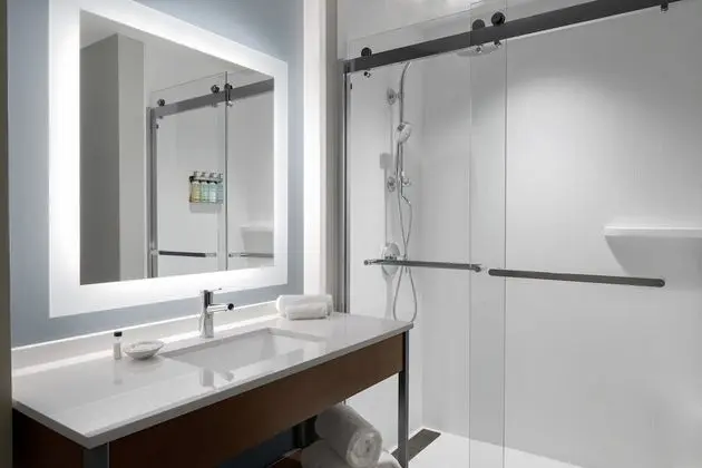 Standard Oda, 1 En Büyük (King) Boy Yatak, Engellilere Uygun (Roll-In Shower)
