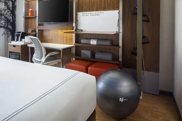 Standard Oda, 1 En Büyük (King) Boy Yatak, Engellilere Uygun (Mobility, Accessible Tub)
