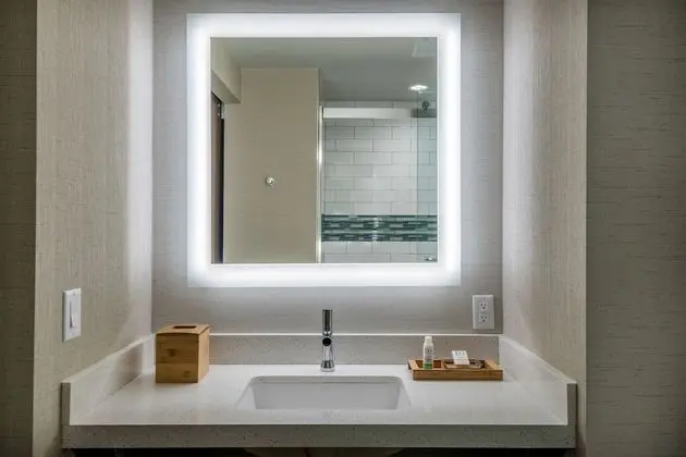 Standard Oda, 1 En Büyük (King) Boy Yatak, Engellilere Uygun (Mobility, Roll-In Shower)