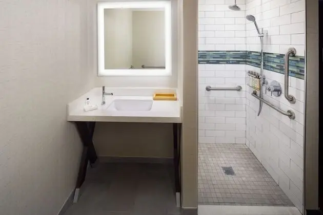 Standard Oda, 1 En Büyük (King) Boy Yatak, Engellilere Uygun (Mobility, Roll-In Shower)