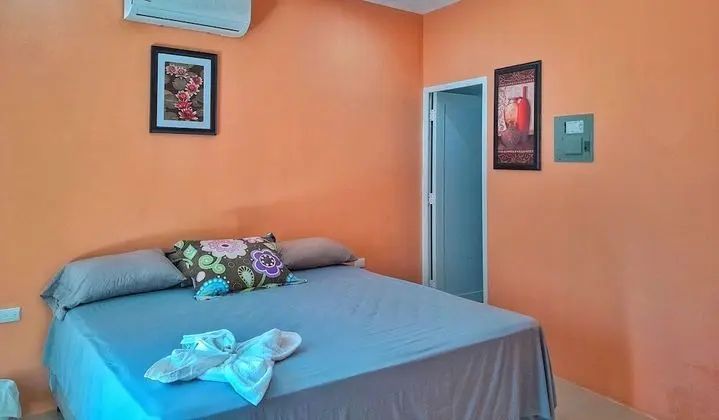 Basic Oda, 2 Büyük (Queen) Boy Yatak, Banyolu/Duşlu, Havuz Manzaralı