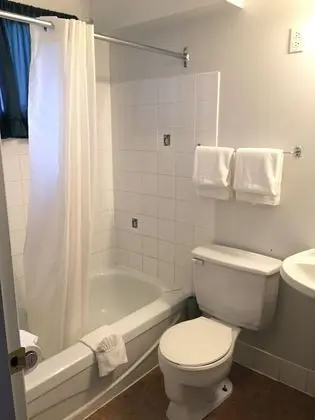 Standard Tek Büyük Yataklı Oda, 2 Çift Kişilik Yatak