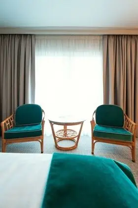 Superior Oda, 1 Çift Kişilik Yatak, Sigara İçilmez, Banyolu/Duşlu