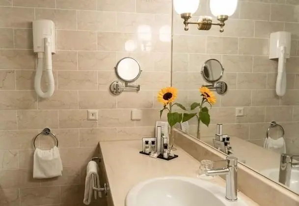 Superior Oda, 1 Çift Kişilik Yatak, Sigara İçilmez, Banyolu/Duşlu